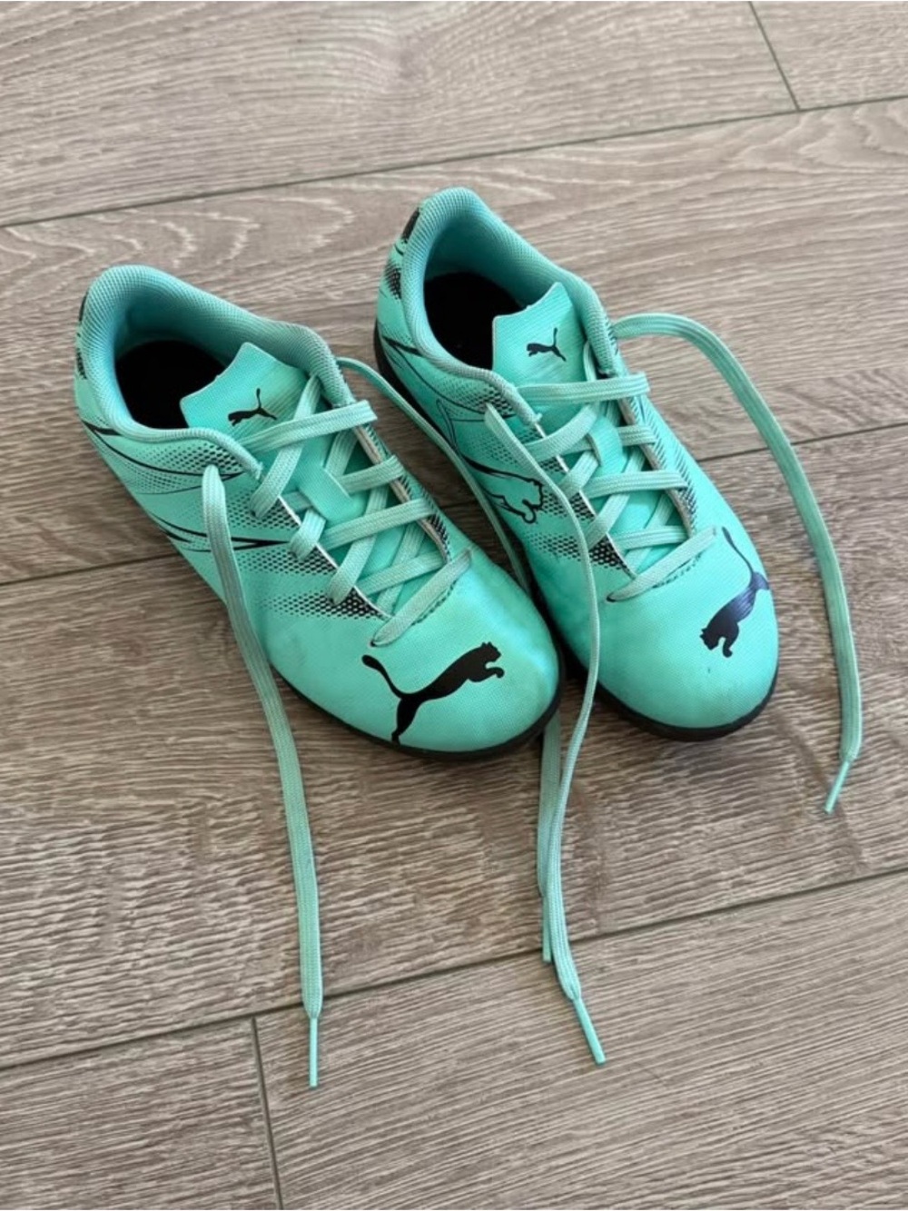 Puma Kids' Teal Athletic Shoes - indoor soccer cleats Sports Sneakers